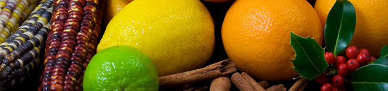 怎么去攻击一个网站与防护