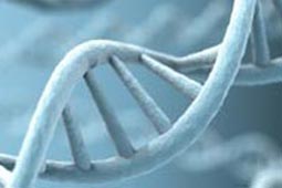 DDOS压力测试网页端